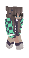Skin preview