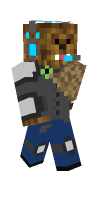 Skin preview