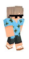 Skin preview