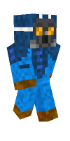 Skin preview