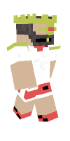 Skin preview