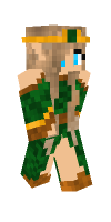 Skin preview