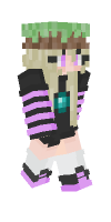 Skin preview
