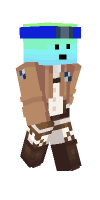 Skin preview