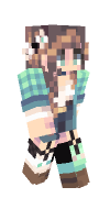 Skin preview