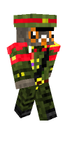 Skin preview