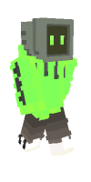 Skin preview