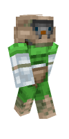 Skin preview
