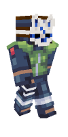 Skin preview