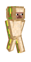 Skin preview