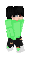Skin preview