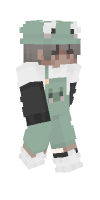 Skin preview