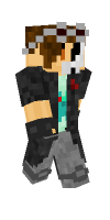 Skin preview