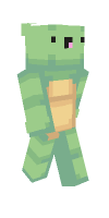 Skin preview