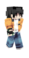 Skin preview