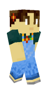 Skin preview