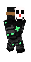 Skin preview