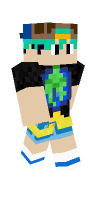 Skin preview