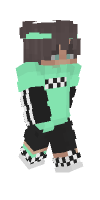 Skin preview