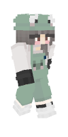 Skin preview