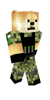 Skin preview