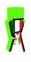 Skin preview