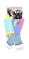 Skin preview