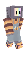 Skin preview