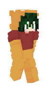 Skin preview