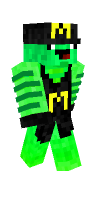 Skin preview