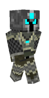 Skin preview