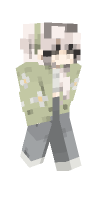 Skin preview
