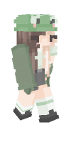 Skin preview