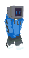 Skin preview