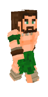 Skin preview