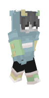 Skin preview