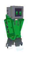 Skin preview