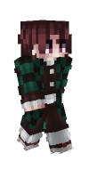 Skin preview