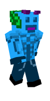 Skin preview