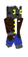 Skin preview
