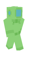 Skin preview
