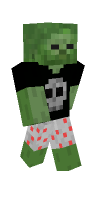 Skin preview