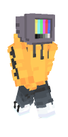 Skin preview