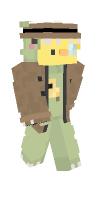 Skin preview