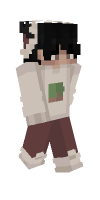 Skin preview