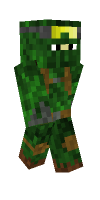 Skin preview
