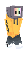Skin preview