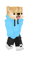 Skin preview