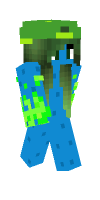 Skin preview