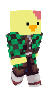 Skin preview